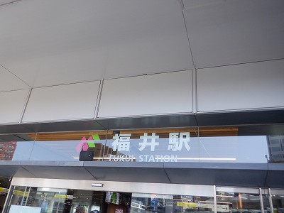 ����w�摜