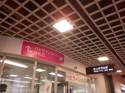 ����w�摜