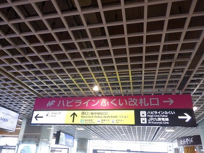 ����w�摜