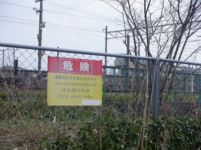 �t�]�w�摜