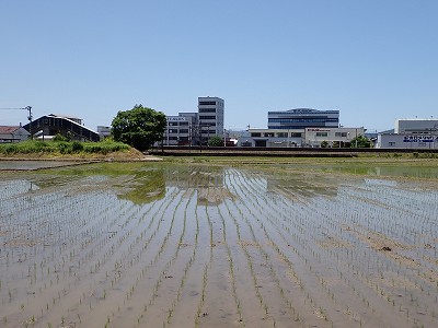 �k�I�]�w�摜