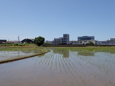�k�I�]�w�摜