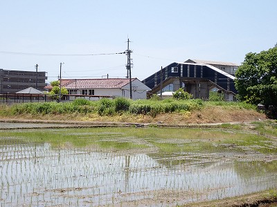 �k�I�]�w�摜