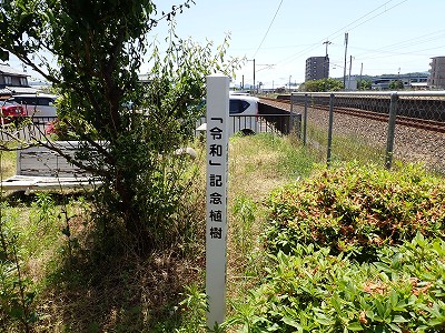 �k�I�]�w�摜