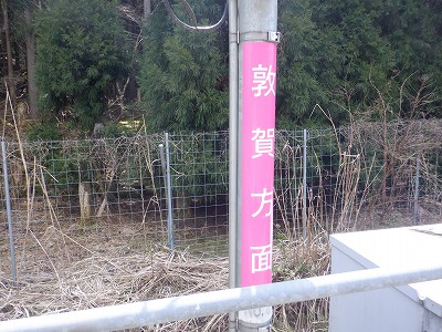 �썡���w�摜