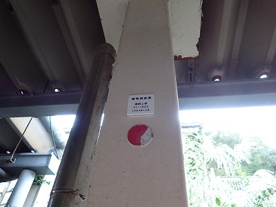 ����w�摜