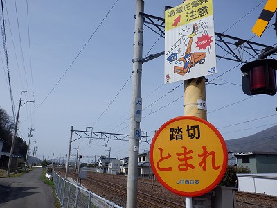 ����w�摜
