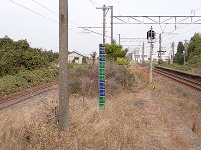 ��y�C�w�摜