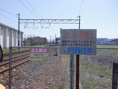 ���q�ۉw�摜
