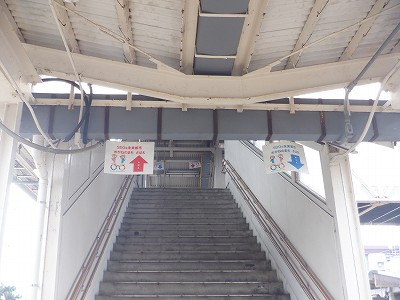 �I�]�w�摜