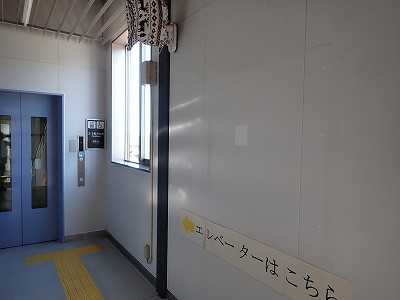�����w�摜