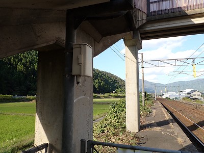 �����w�摜