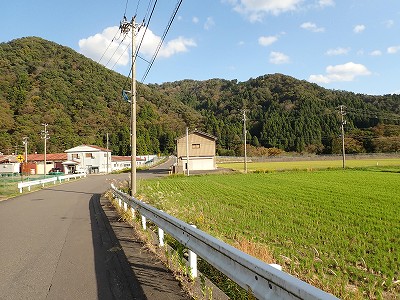�����w�摜