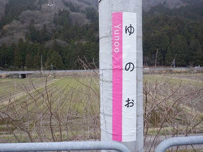 �����w�摜