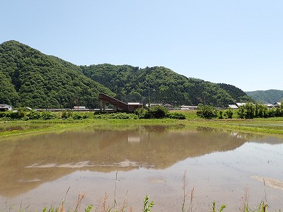 �����w�摜