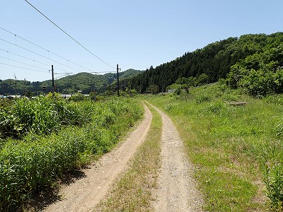 �����w�摜