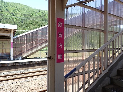 �����w�摜