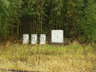 竹藪の中の信号設備