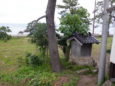 �J���w�摜