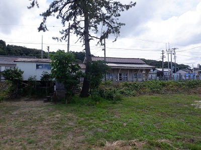 �J���w�摜