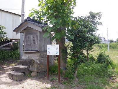 �J���w�摜