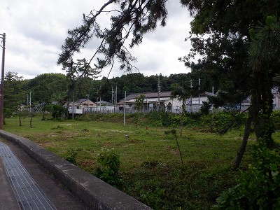 �J���w�摜