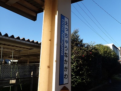 �z������w�摜