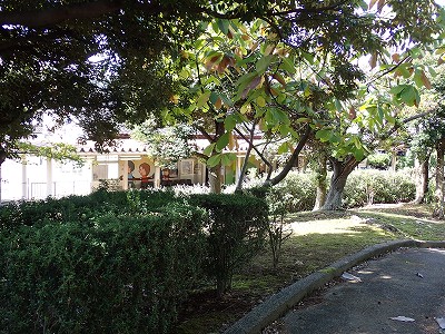 �z������w�摜