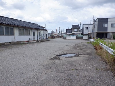 �\���w�摜