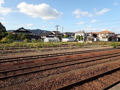 �\���w�摜