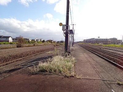 �\���w�摜