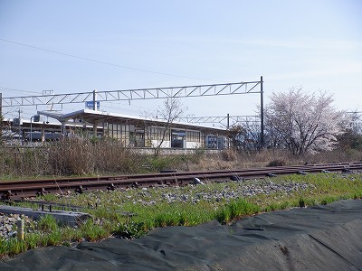 ���Éw�摜