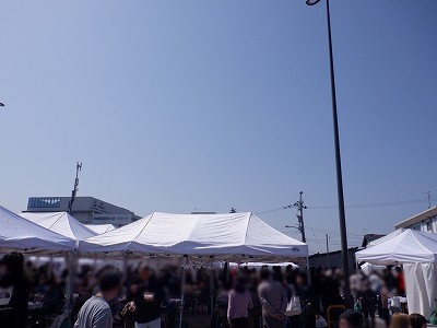 ���ꉷ��w�摜