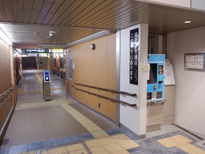 ���ꉷ��w�摜