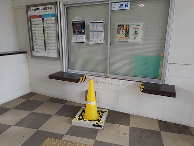 �����q�w�摜