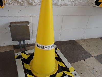 �����q�w�摜