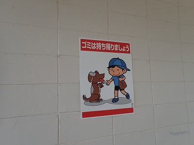 �����q�w�摜