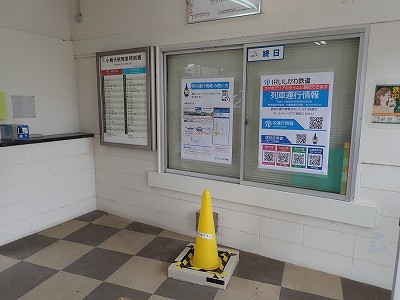 �����q�w�摜