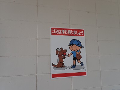 �����q�w�摜