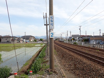 ����w�摜