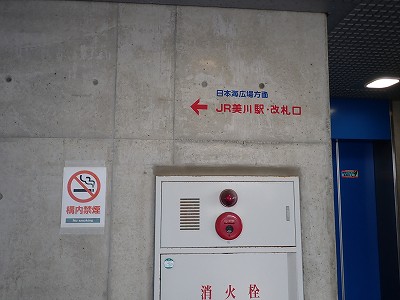 ����w�摜