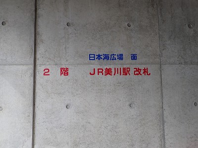 ����w�摜