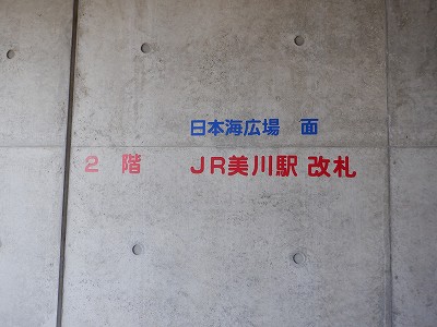 ����w�摜