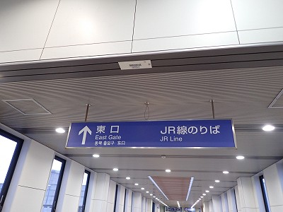 ������w�摜