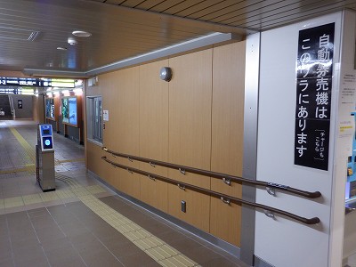 ���ꉷ��w�摜