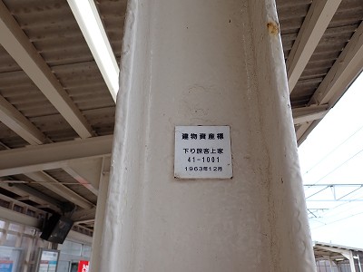 �����q�w�摜
