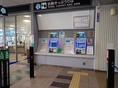 �����w�摜