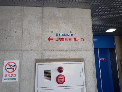 ����w�摜