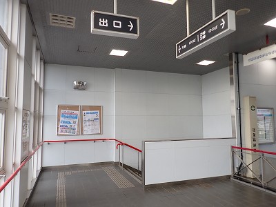 ����w�摜