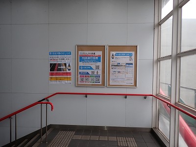 ����w�摜